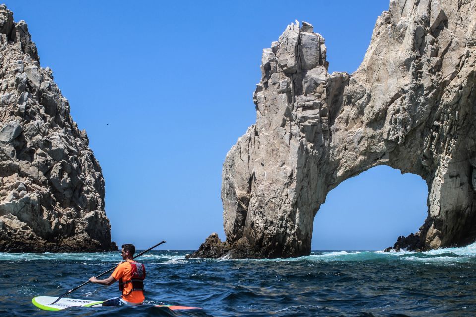 Los Cabos: Private Paddleboarding and Snorkeling Tour - Logistics and Common questions