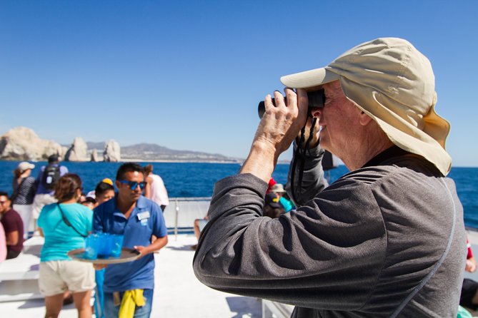 Los Cabos Whale Watching Cruise Including Breakfast - Guest Experiences