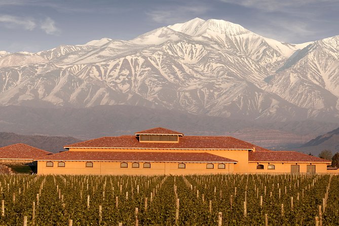 Luján De Cuyo Wine-Tasting Tour From Mendoza