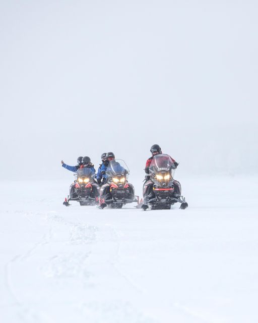 Luleå : Snowmobile - Forest and Ice Nature Tour 2h - Customer Review and Product ID