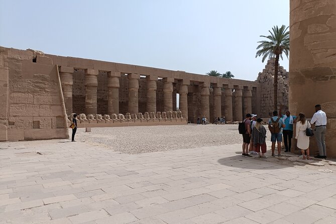 Luxor Day Trip From Hurghada - Customer Satisfaction and Feedback Received