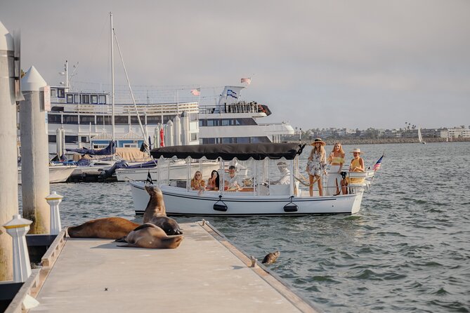 Luxury Shared E-Boat Cruise With Wine, Charcuterie & Sea Lions Spotting - Highlights