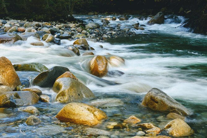 Lynn Canyon Suspension Bridge & Park Photography - Booking Information