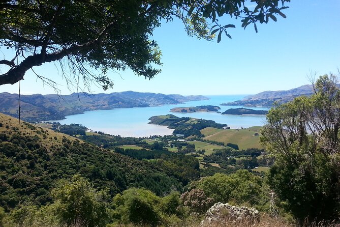 Lyttelton Shore Excursion -Guided Hiking Tour Packhorse Hut - Viator Background and Presence