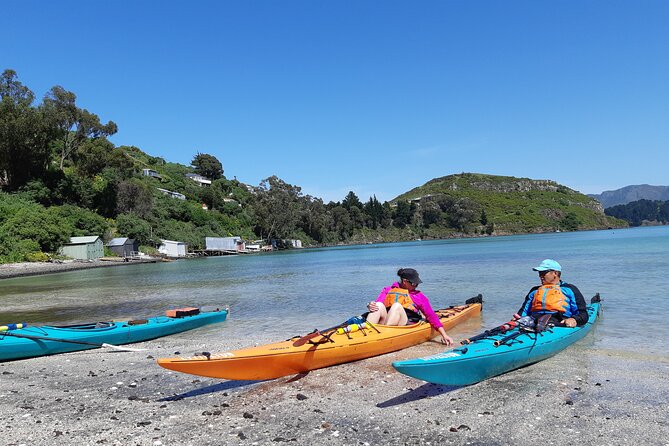 Lyttelton Shore Excursion - Sea Kayaking, Quail Island & Harbour - Pricing Details and Special Offers