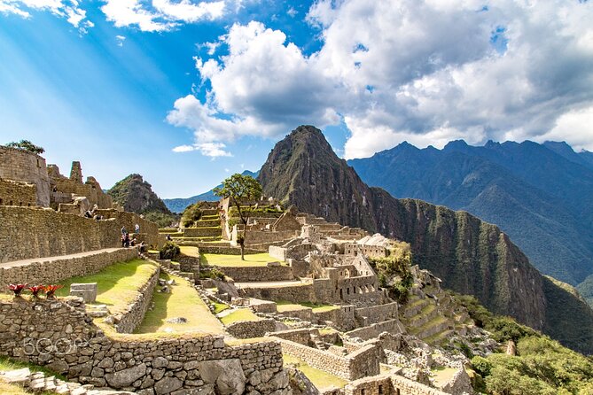 Macchu Picchu - Traveler Summary