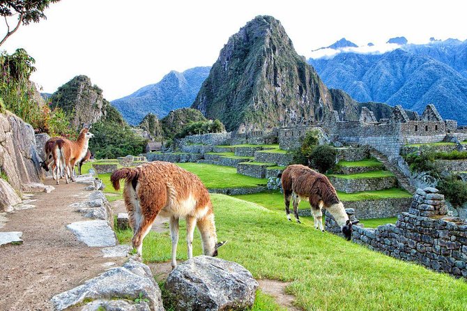 Machu Picchu By Train 2 Days Tour - Tips for the Journey