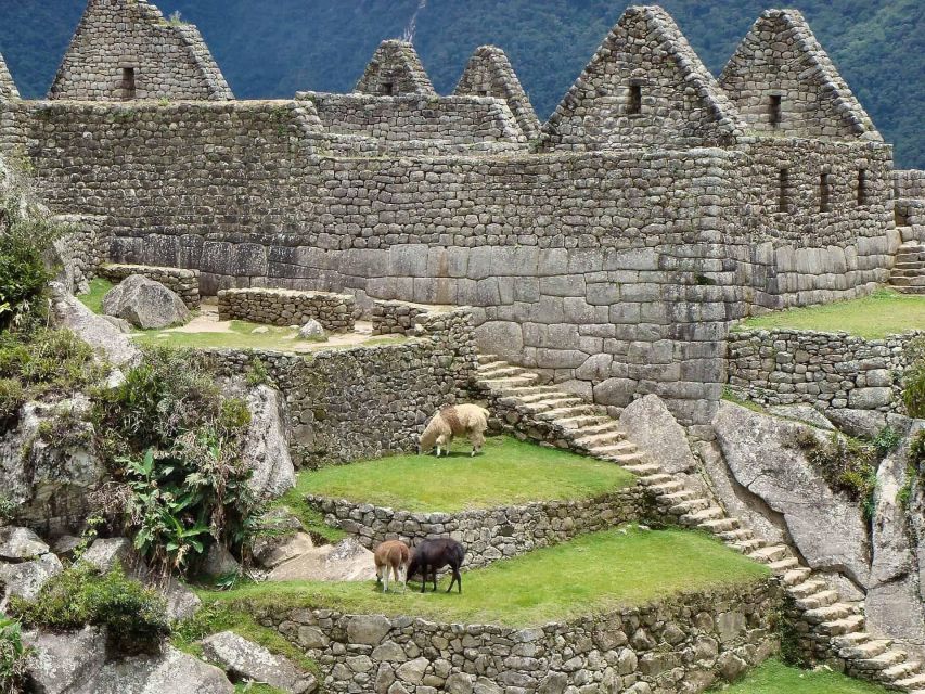 Machu Picchu Tour Full Day - Tour Highlights