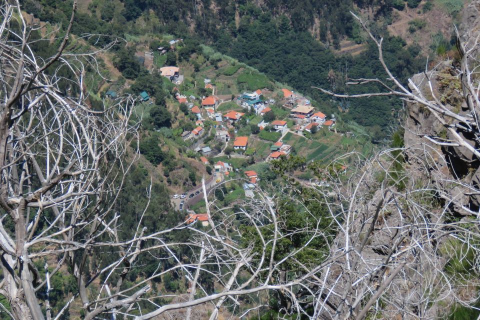 Madeira : Cabo Girao and Camara De Lobo 4WD Half-Day Tour - Booking Information