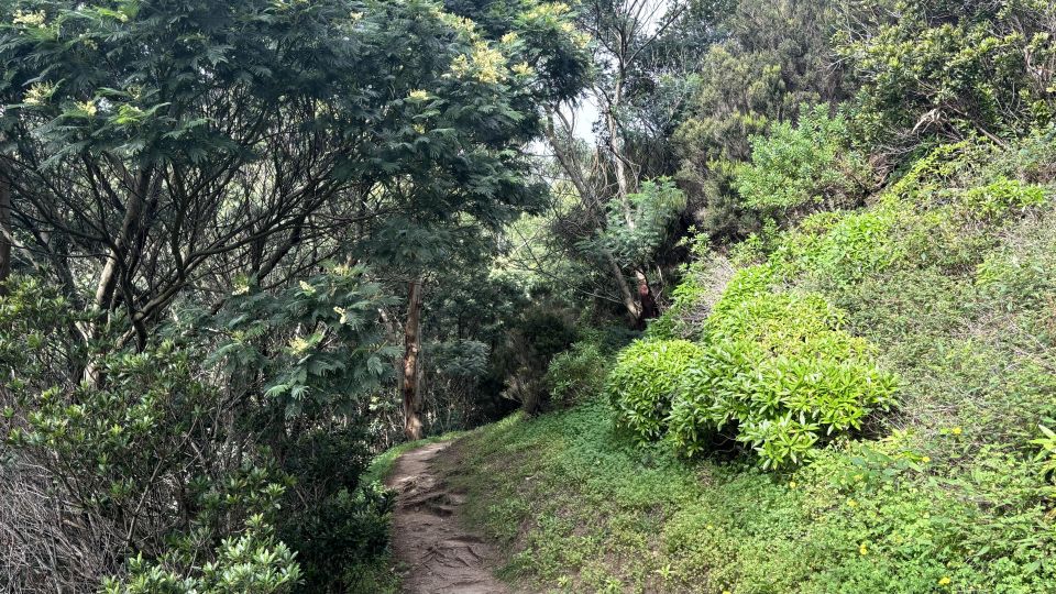 Madeira: Cliff Hanger (Hike) Larano Walk - Weather and Flexibility