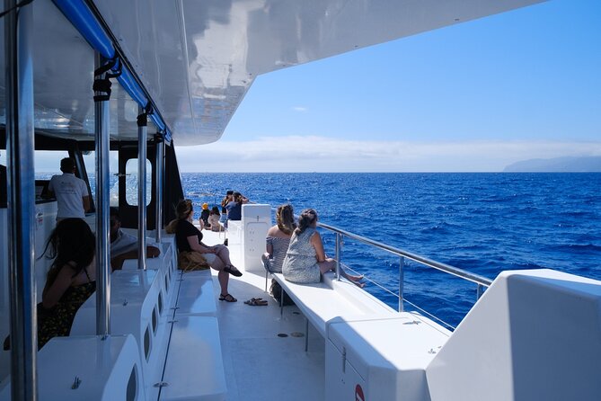 Madeira Dolphin and Whale Watching on a Ecological Catamaran - Customer Experience