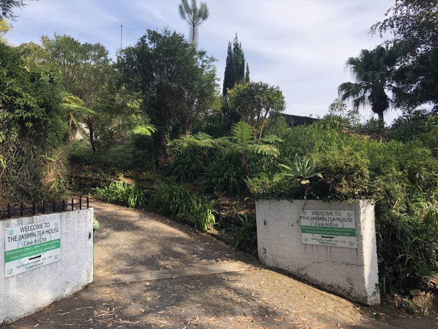 Madeira: Guided and Private Tour of Jasmine Tea House - Live Tour Guide