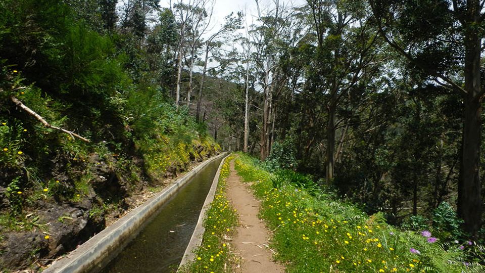 Madeira: Levada Calheta to Prazeres Private Walking Tour - Additional Details