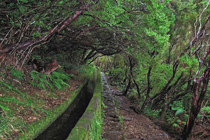 Madeira Levada Walk - Rabacal Lakes and Fountains - Tour Challenges and Terrain Description