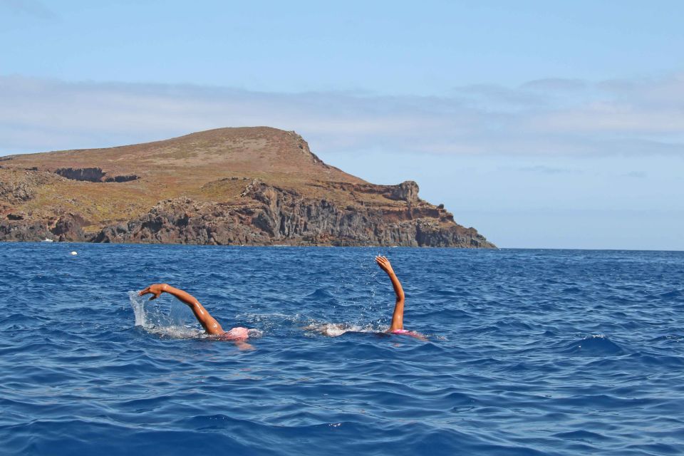 Madeira: Open Water Swimming - Experience Highlights