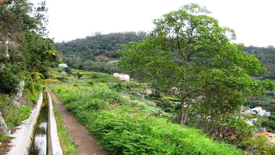 Madeira: Private Hike From Levada Do Caniçal to Machico - Additional Information