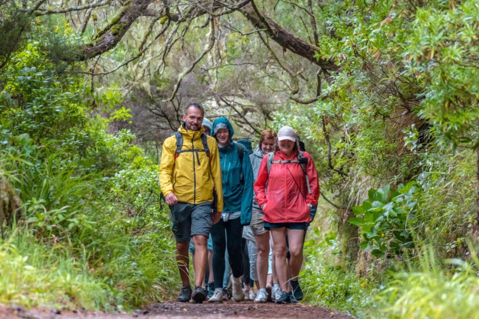 Madeira: Rabaçal 25 Fountains Levada Walk & Cabo Girão - Customer Ratings and Reviews