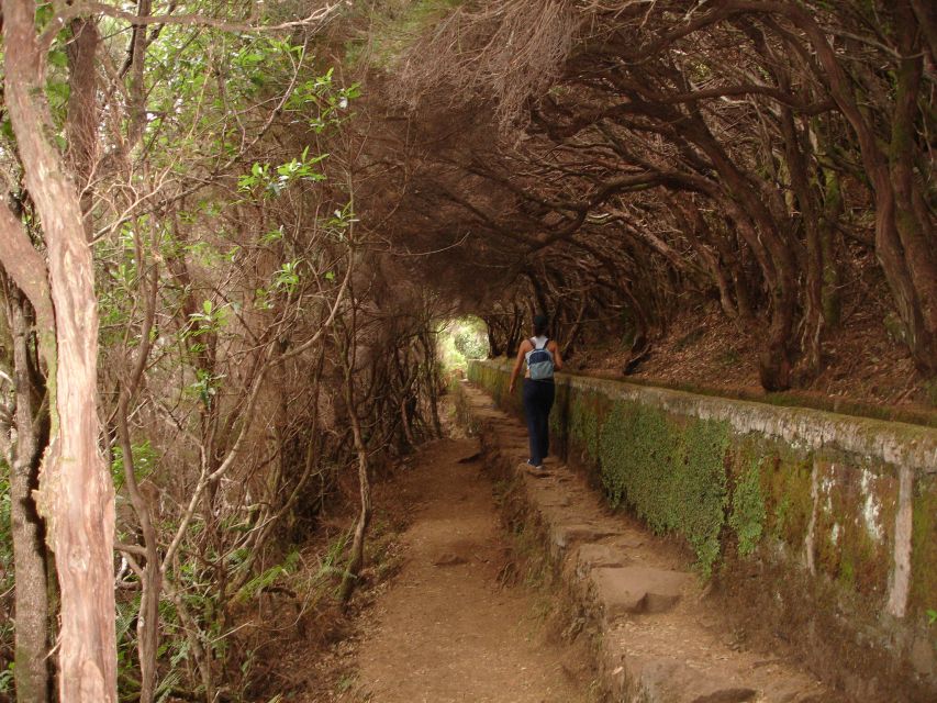 Madeira: Rabaçal Valleys 3-Hour Guided Walk - Additional Information
