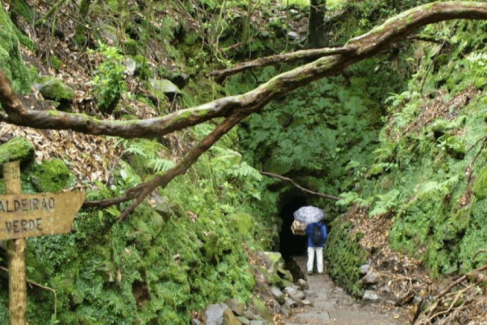 Madeira: Walking Tour - Queimadas / Caldeirão Verde - Common questions