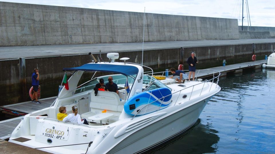 Madeira: Yacht Tours - Wildlife & Bays, Sunset, Desert Isles - Arrival Details