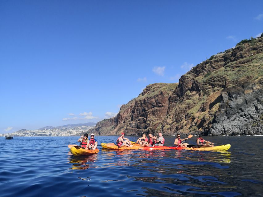 Madeiras Marine Reserve: Kayak & Snorkelling Trip - Review Summary