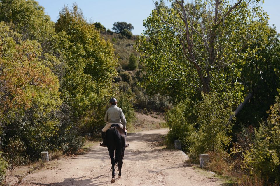 Madrid: Horse Riding in Sierra Del Guadarrama National Park - Review Highlights
