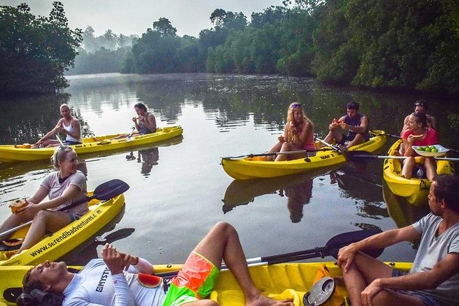 Madu River Sunrise Mangrove Kayaking From Bentota - Cancellation Policy Details