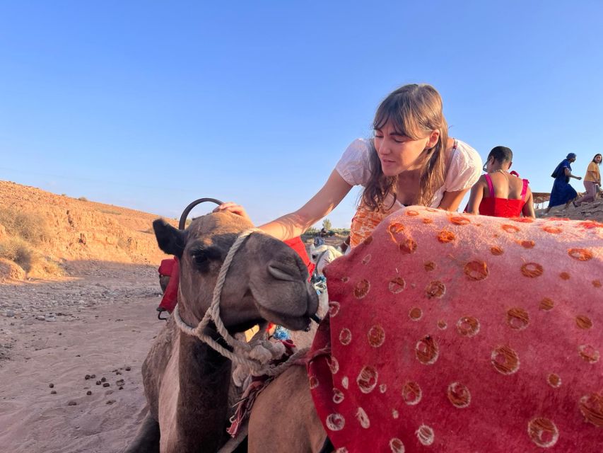 Magical Dinner Show and Camel Ride in Agafay Desert - Availability and Itinerary