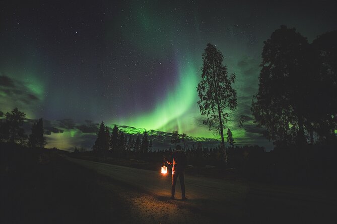 Magical Rovaniemi Evening Santa Village and Aurora Borealis - Last Words