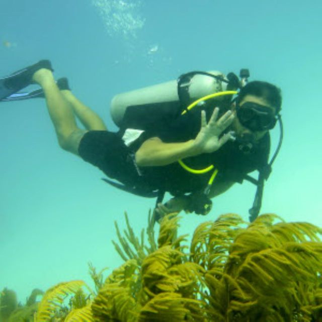 Mahahual: 1, 2 or 3 Tank Diving Experience - Additional Information