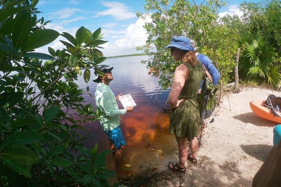 Mahahual: Kayaking in the Mangroves Experience - Meeting Local Fishermen Family