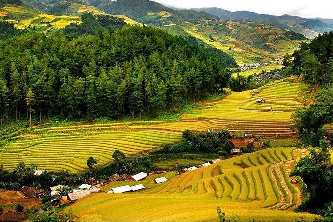 Mai Chau - Pu Luong - Ninh Binh for Nature Lovers 2 - 4 Days - Transportation and Travel Tips