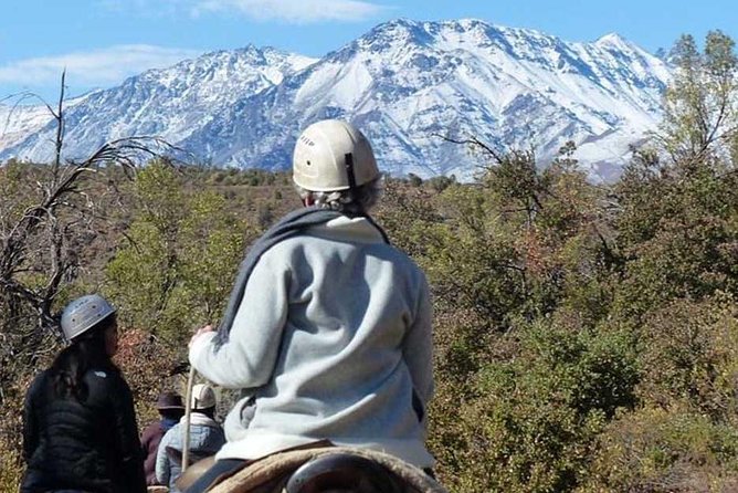 Maipo Canyon: Andes Mountains Horseback Ride and Wine Tour & Tasting - Pricing Details