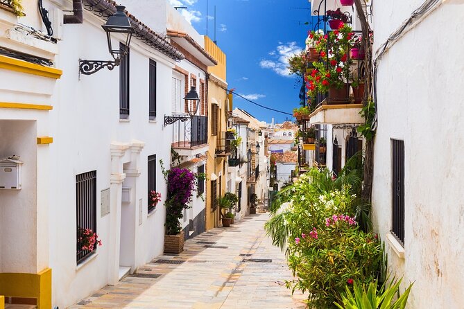 Malaga Highlights Tour, Picasso Museum & Marbella From Seville - Marbella Excursion