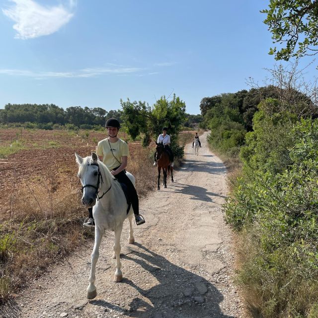 Mallorca: Guided Horseriding Tour of Randa Valley - Customer Review and Feedback