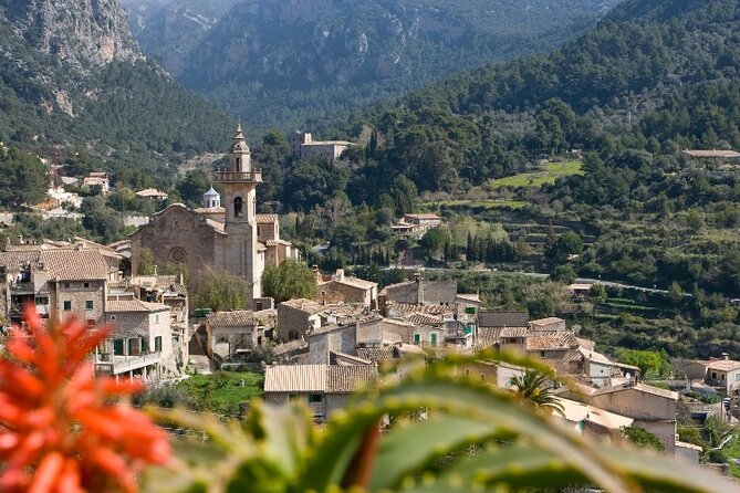 Mallorca Instafamous WEST: Valldemossa, Wine Experience and Palma - Capturing the Beauty of Mallorca