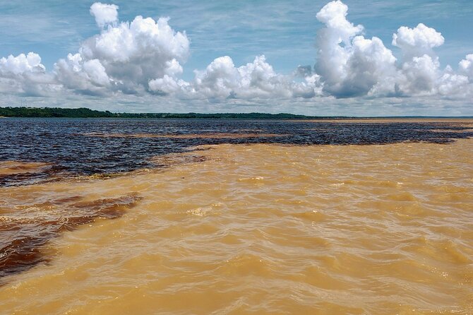 Manaus to Meeting of the Waters and Janauari Lake Cruise Tour - Traveler Resources