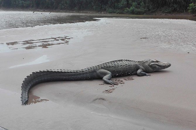 Manu National Park: 6-Day Tour From Cusco - Safety Measures