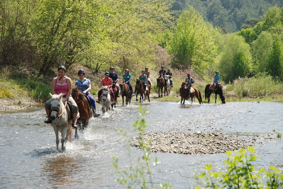 Marmaris National Park: Horse Safari - Customer Reviews