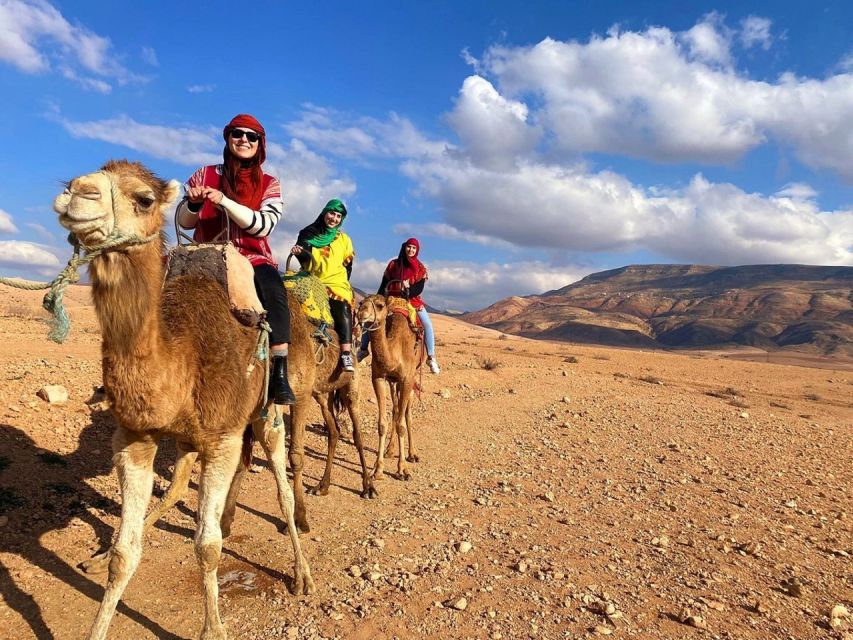 Marrakech: Agafay Desert, Atlas Mountains & Waterfalls Tour - Ratings & Reviews