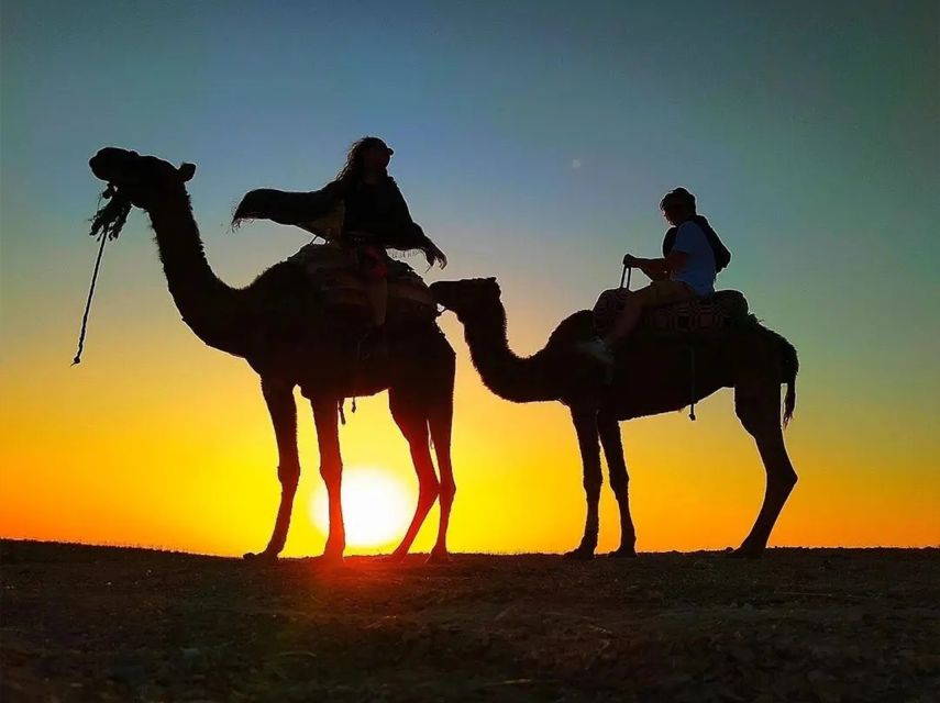Marrakech: Agafay Quad & Sunset Camel Tour With Dinner Show - Additional Information