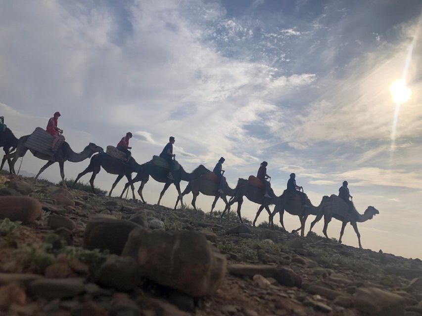 Marrakech: Atlas Mountains Waterfall & Camel Ride Experience - Customer Reviews