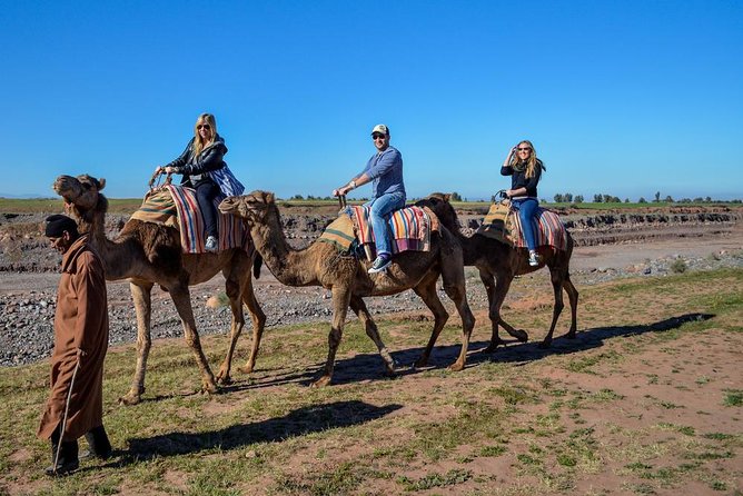 Marrakech Camel Ride at the Palm Groves - Additional Information