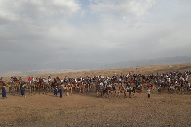 Marrakech Camel Ride in Agafay Desert With Lunch - Common questions