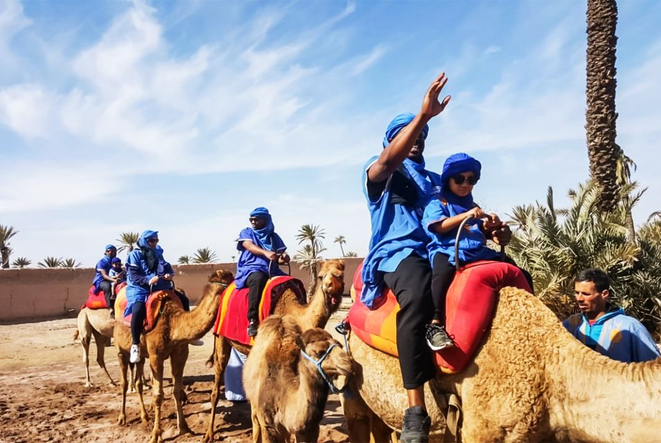 Marrakech: Camel Ride in the Oasis Palmeraie - Review Summary