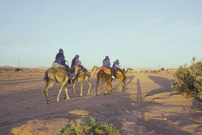 Marrakech Camel Ride in the Oasis Palmeraie and Desert - Authentic Berber Cultural Interactions