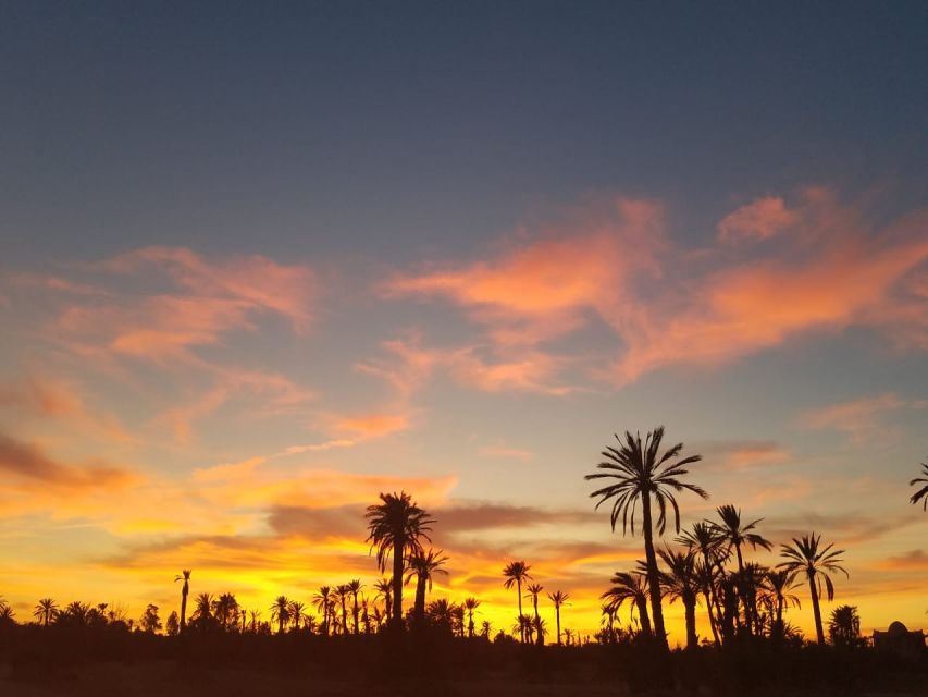 Marrakech: Camel Ride in the Palm Grove - Activity Inclusions