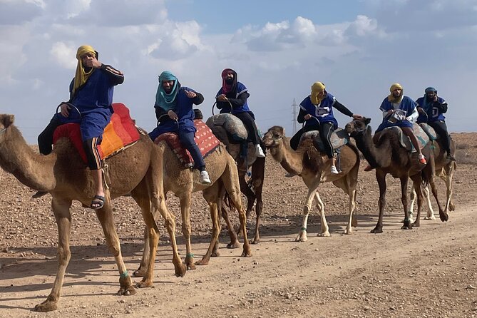 Marrakech: Camel Ride in the Palm Grove - Pricing Details