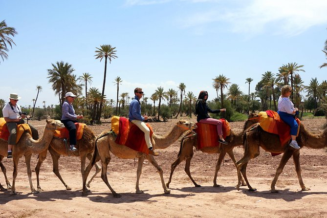 Marrakech Camel Ride Tour - Additional Information