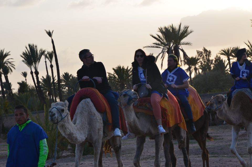 Marrakech: Camel Ride Trip in Palm Groves With Tea Break - Traveler Testimonials
